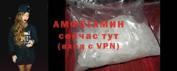 сатива Балахна